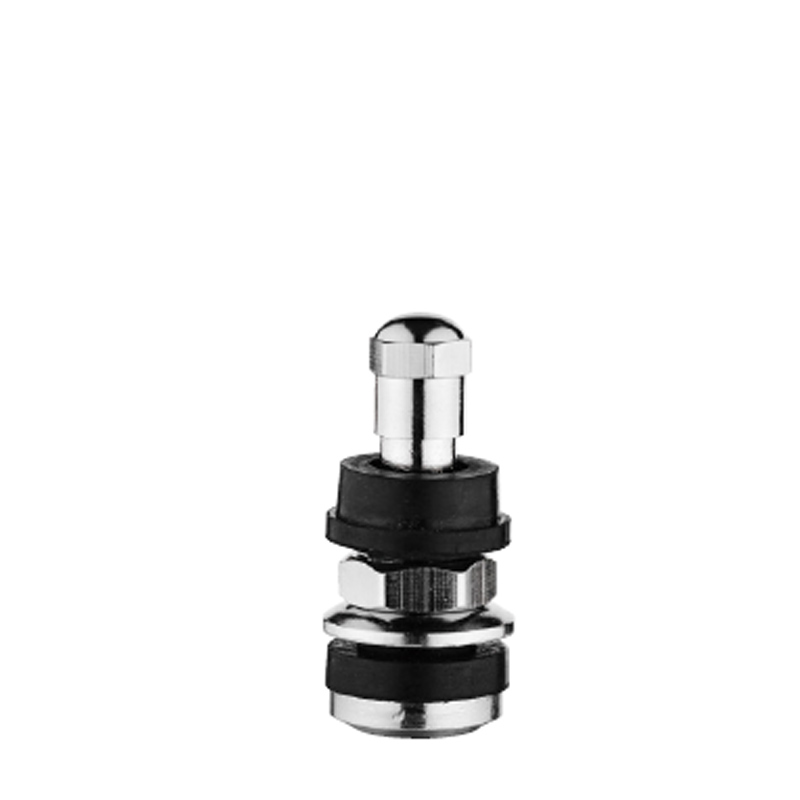 Tubeless Metal Clamp-in Valves-TR416