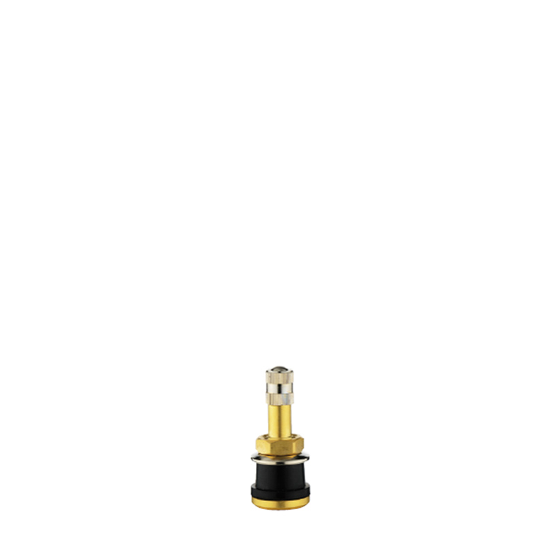 Tubeless Metal Clamp-in Valves For Truck And Bus-TR501