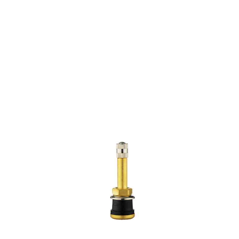 Tubeless Metal Clamp-in Valves For Truck And Bus-TR500