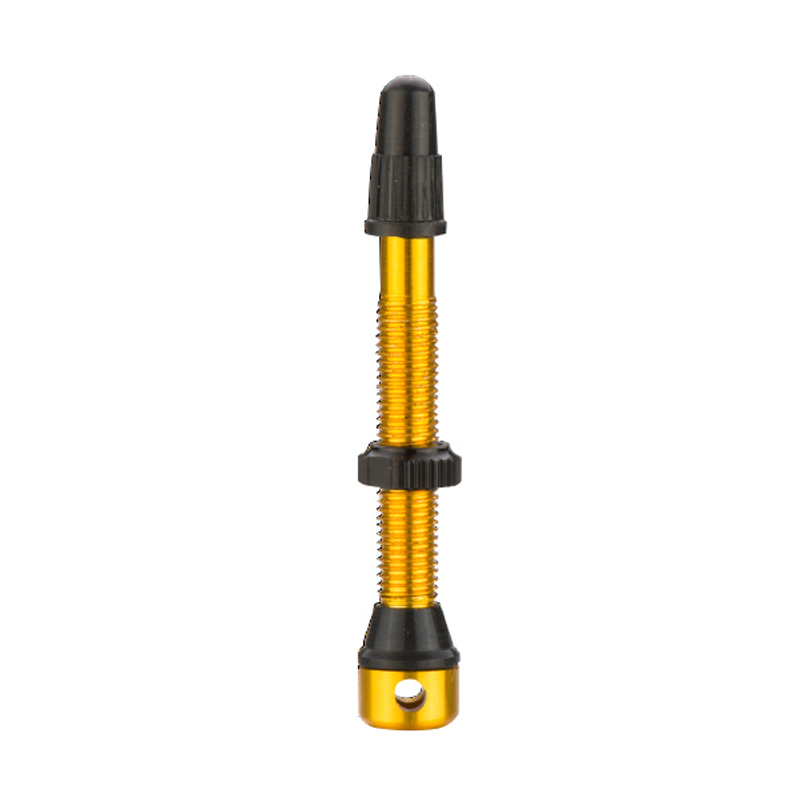 Bicycle valve-FTG-03
