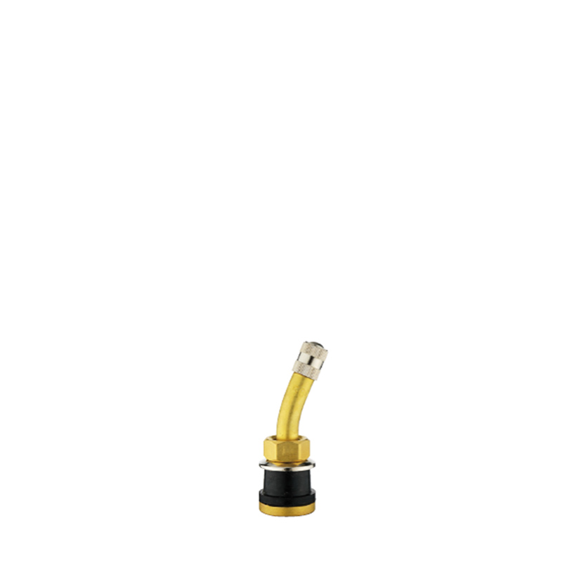 Tubeless Metal Clamp-in Valves For Truck And Bus-TR500C