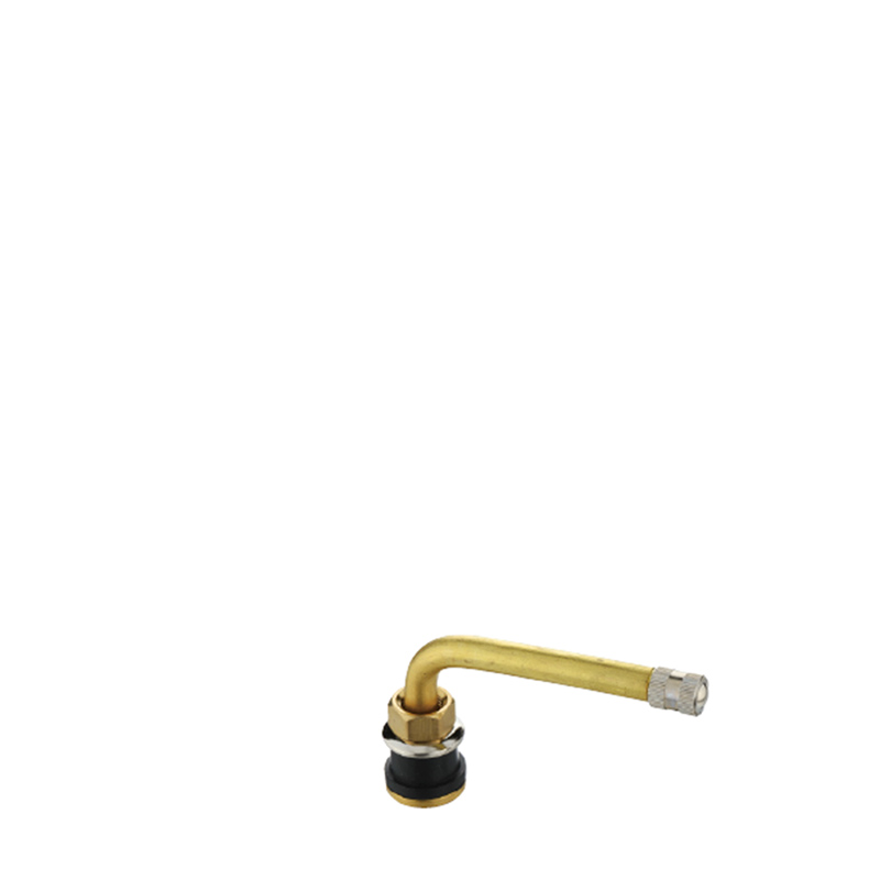 Tubeless Metal Clamp-in Valves For Truck And Bus-TR572C-2