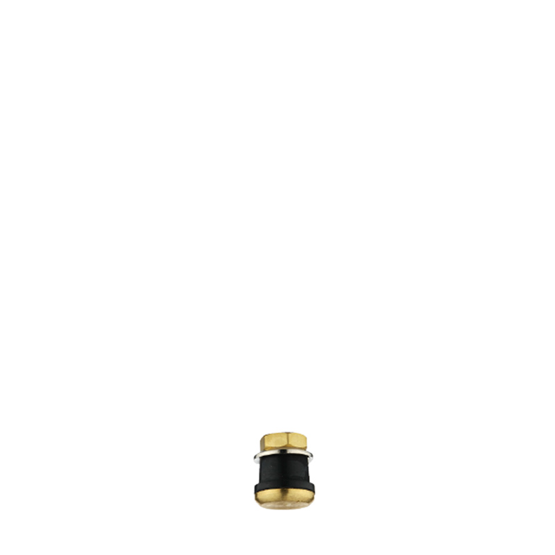 Tubeless Metal Clamp-in Valves For Truck And Bus-TR570P