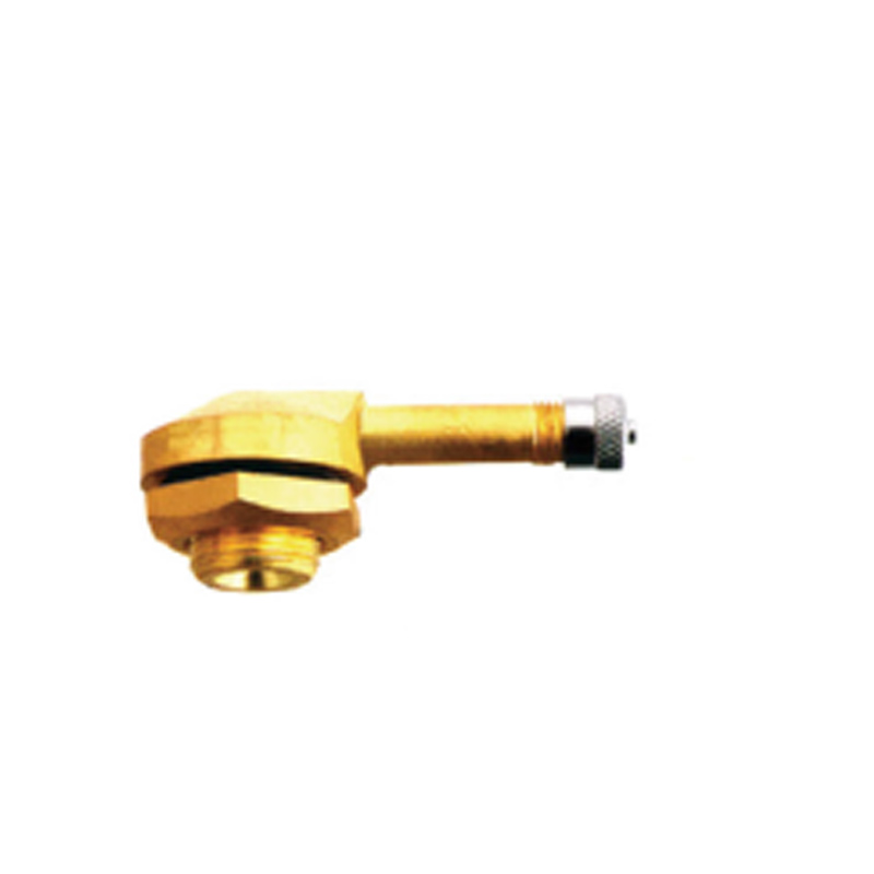 European Style Clamp-in Valves-V3.12 Series