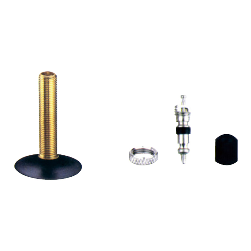 Bicycle & Motorcycle Tube Valves-TR-4A