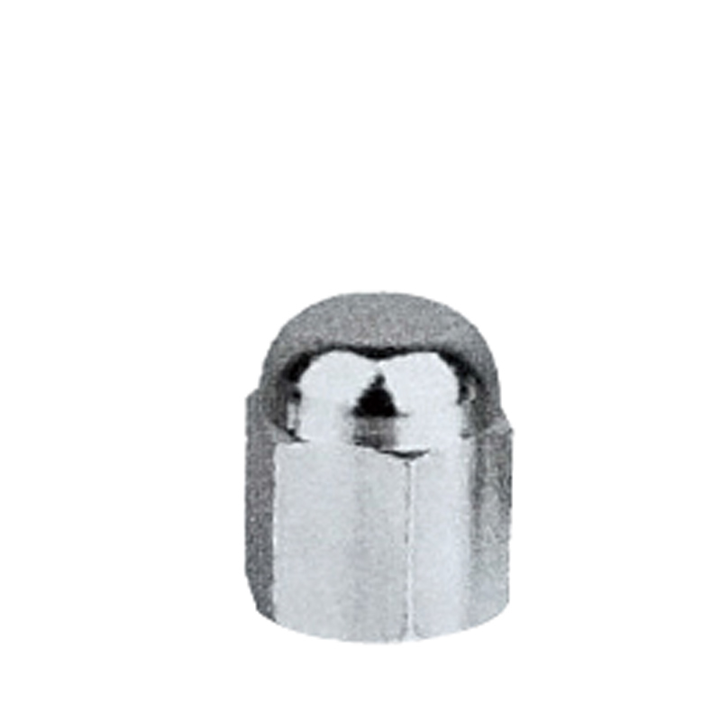 Valve Caps-BT