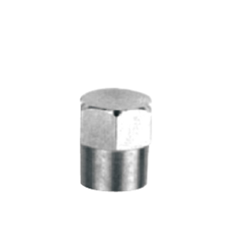 Valve Caps-GT