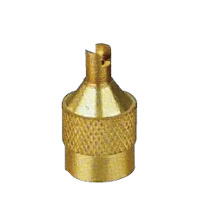 Valve Caps-VC6