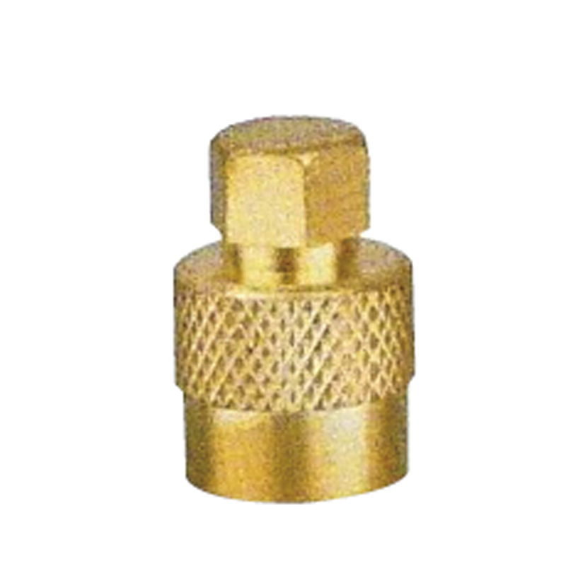 Valve Caps-VC7