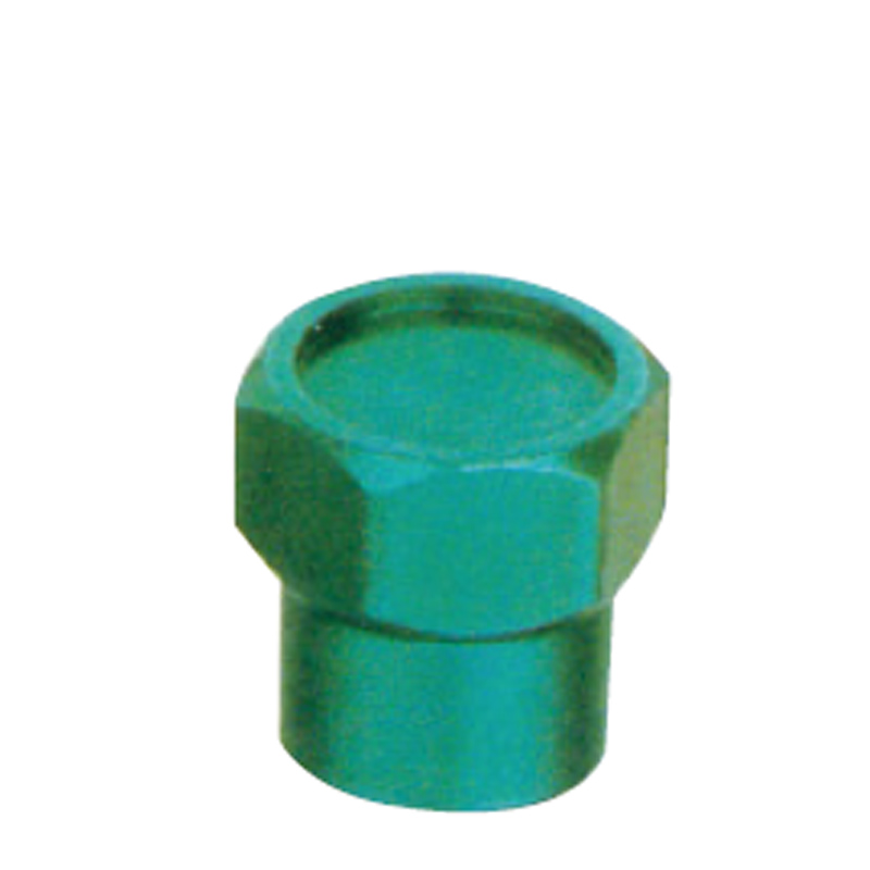 Valve Caps-EWL-G