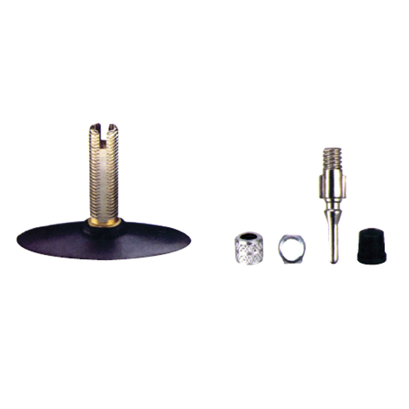 Bicycle & Motorcycle Tube Valves-CE4