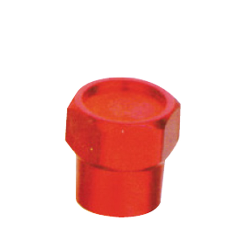 Valve Caps-EWL-R
