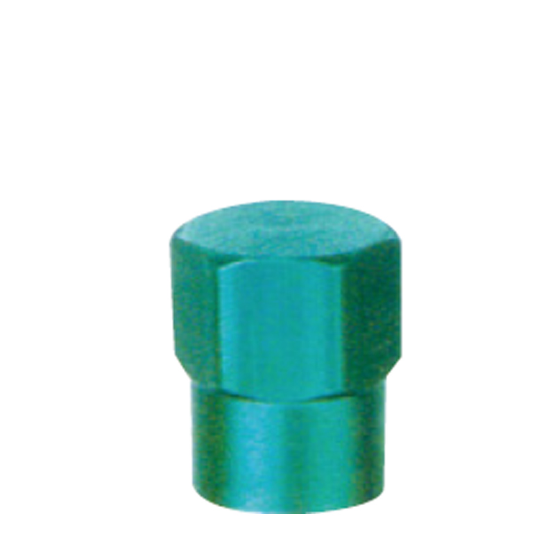 Valve Caps-GT-G