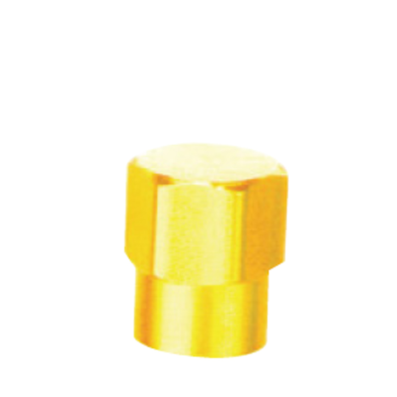 Valve Caps-GT-Y
