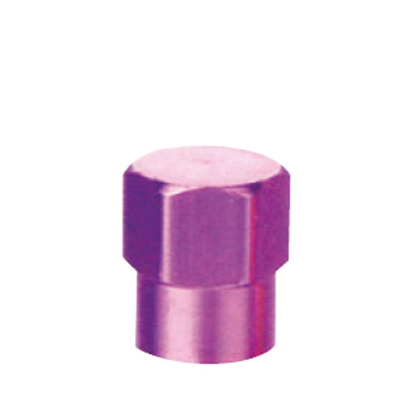 Valve Caps-GT-P