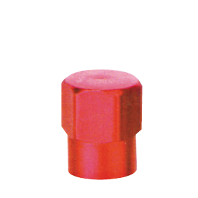 Valve Caps-GT-R