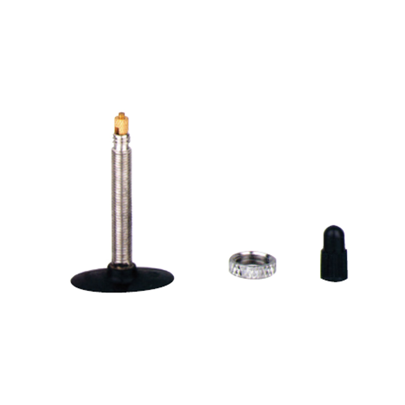 Bicycle & Motorcycle Tube Valves-GVFR