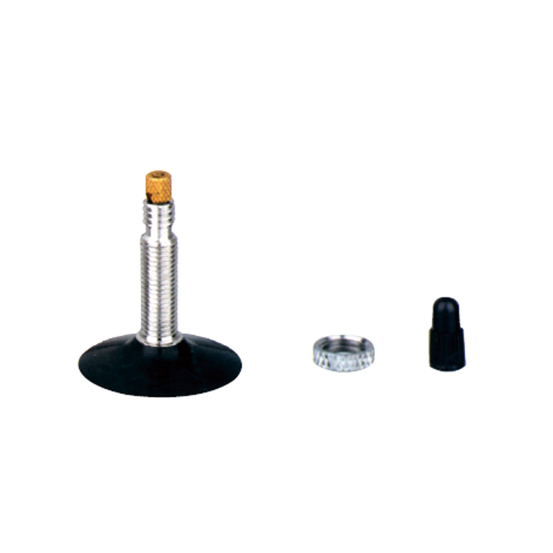 Bicycle & Motorcycle Tube Valves-VFR