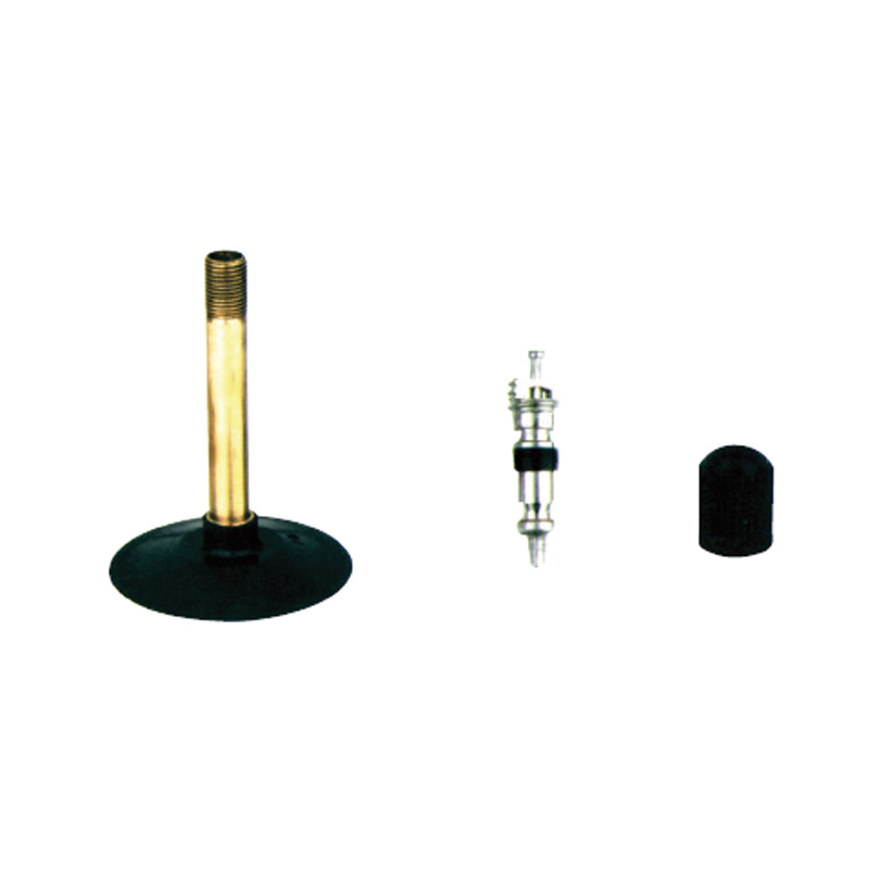Bicycle & Motorcycle Tube Valves-TR-87(Straight)