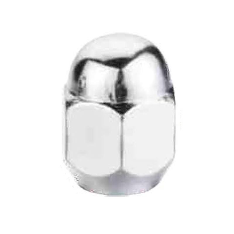 Acorn Nut-HEX 21-1002A-L29