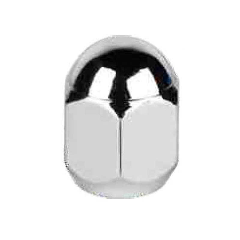 Acorn Nut-HEX 19-1002SA-L25
