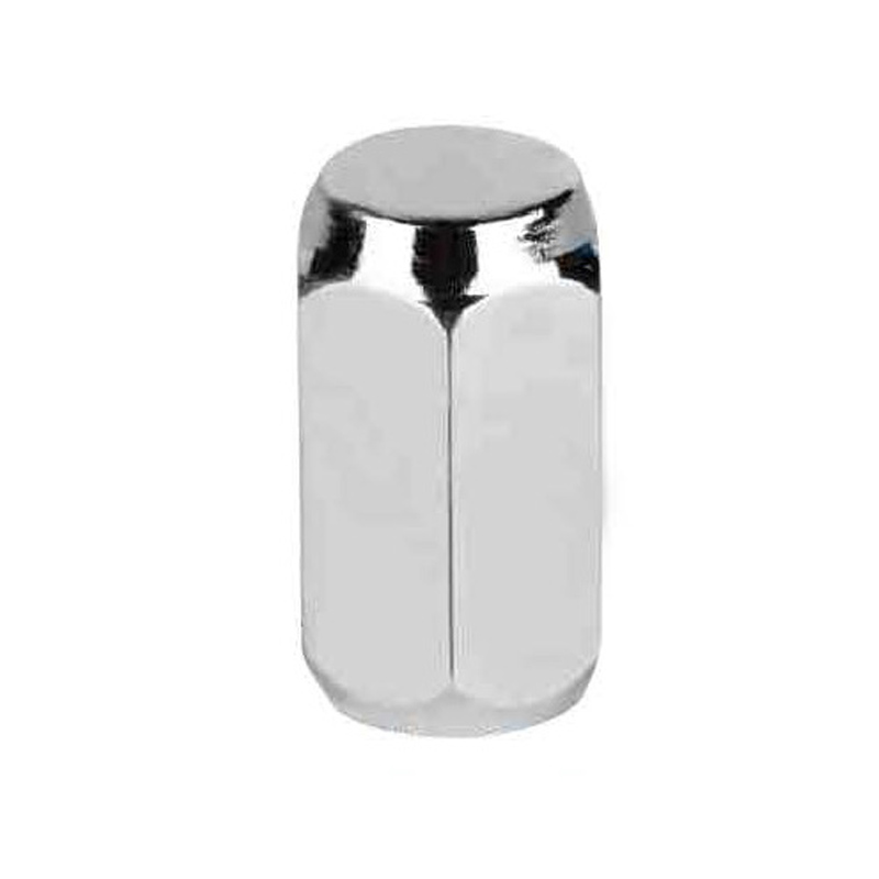 Acorn Nut-HEX 19-1002S-L35